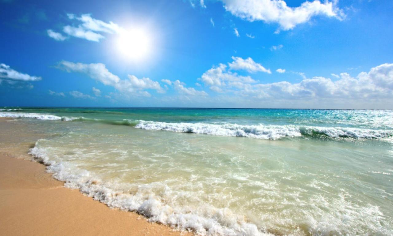 Admiral Plaza A 11 Apartment Sunny Beach Dış mekan fotoğraf